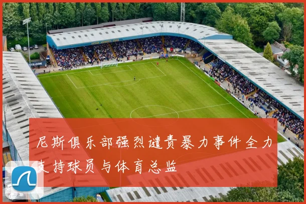 尼斯俱乐部强烈谴责暴力事件全力支持球员与体育总监
