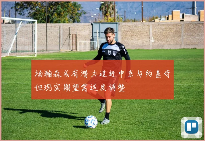杨瀚森或有潜力追赶申京与约基奇但现实期望需适度调整