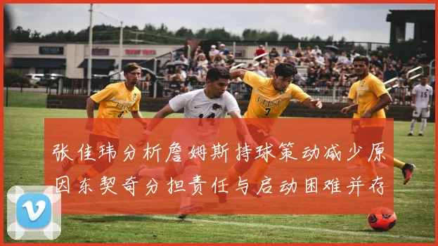 张佳玮分析詹姆斯持球策动减少原因东契奇分担责任与启动困难并存