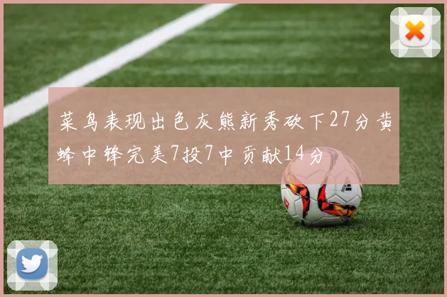 菜鸟表现出色灰熊新秀砍下27分黄蜂中锋完美7投7中贡献14分